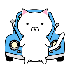 White cat and cute car sometimes bear