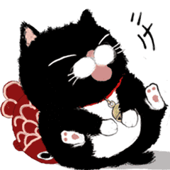 Black bean cat -IN03