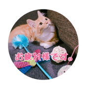 mel_chan