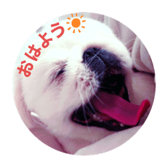 miki_20210519230352