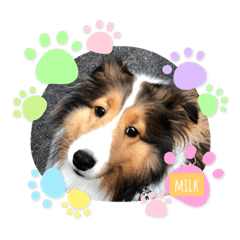 ARISA_20210520173235