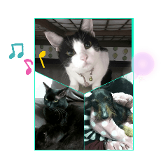 nanami_20210520184751