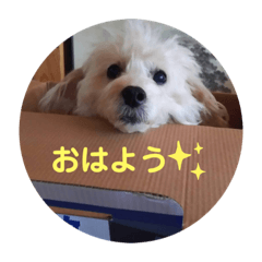 chibi_20210520185821