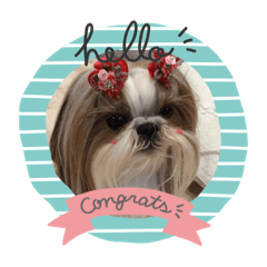 Natsumi_20210520135353