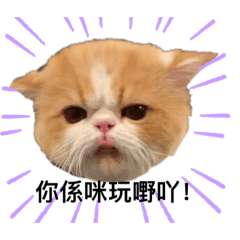 DaPing Daily – LINE stickers | LINE STORE