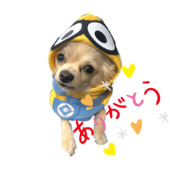 chihiro_20210520175559