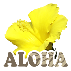 ALOHA-05