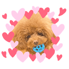 MIZUKI_20210520205320