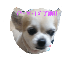 I LOVE YOU STAMP