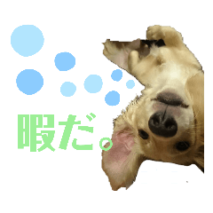 saori_20210520224103