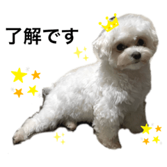 omochi_20210520191549