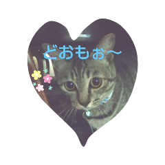 Suzu_20210520181759