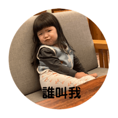 小皮蛋の