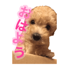 seira_20210520201814