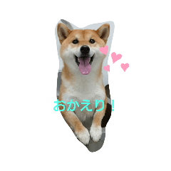 rai0406222