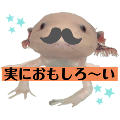 ICCHAN_20210520231639
