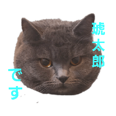 asuka_20210520225920