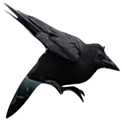 Riverside crow Chinese simplified ver