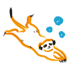 lazy meerkat