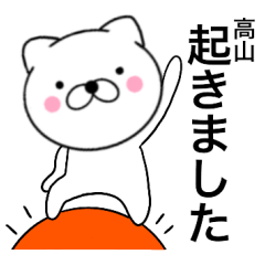 Name cat Takayama
