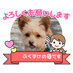 mimi_20210521124600