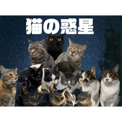 tamaosan_20210520160733