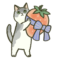 daily life of kitty cats and fruits