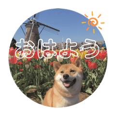 aoi_20210520232554