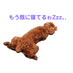 Sherry_20210521084814