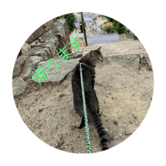 kaito_20210521100246