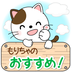 品質保証 もりちゃさん専用 工具 メンテナンス Csjla Pe