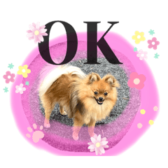 ポメラニアン Lineクリエイターズスタンプまとめ Stamplist ポメラニアン Lineクリエイターズスタンプまとめ Stamplist