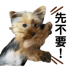 摳尼老闆與他的弟弟