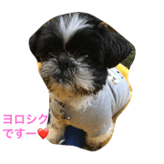 ryoku-aniki