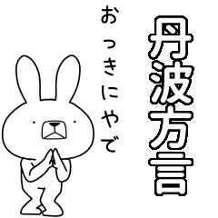 BIG Dialect rabbit[tanba]