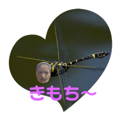 HIDEK I_20210521130451