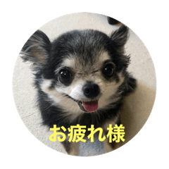 yukari_20210521125722