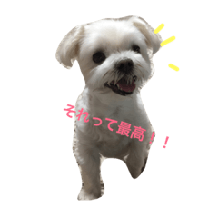 Miina&Nao – LINE stickers | LINE STORE