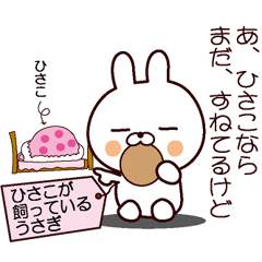 Hisako's rabbit