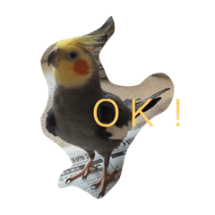 ayumi_20210521132432