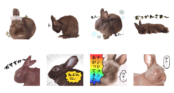 うさぎのパン リアル Lineクリエイターズスタンプ Stamplist うさぎのパン リアル Lineクリエイターズスタンプ Stamplist
