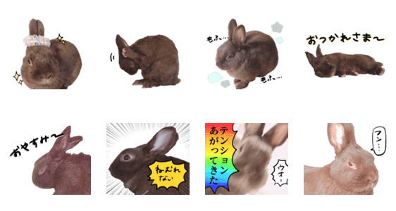 うさぎのパン リアル Lineクリエイターズスタンプ Stamplist