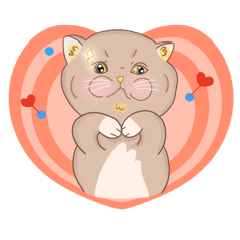 Choo Ma : One day with Normal Cat