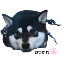 seira_20210521170514