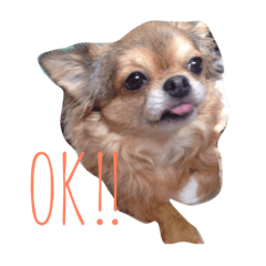 KINAchan
