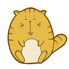 Popota the Cute Fat Cat