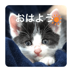 kayo_20210521231448