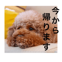 NOZOMI_20210522000230