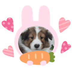 ARISA_20210522001701