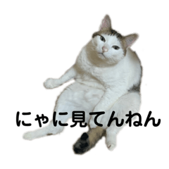 KAITO_20210522022944